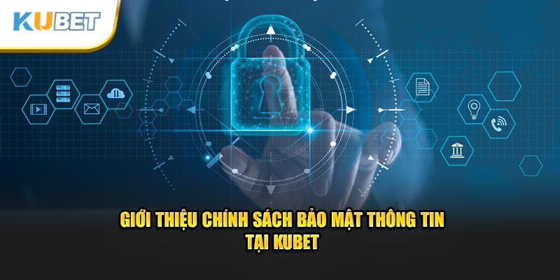 Giới thiệu chính sách bảo mật thông tin tại Kubet